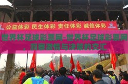 世界杯足球彩票网-世界杯足球彩票网，洞察激情与决策的交汇