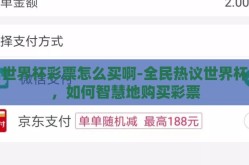 世界杯彩票怎么买啊-全民热议世界杯，如何智慧地购买彩票