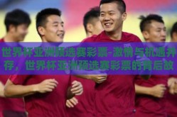 世界杯亚洲预选赛彩票-激情与机遇并存，世界杯亚洲预选赛彩票的背后故事