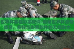 世界杯赛程彩票软件-揭秘世界杯激情盛宴，赛程与彩票软件的无缝融合
