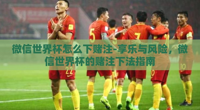 微信世界杯怎么下赌注-享乐与风险，微信世界杯的赌注下法指南