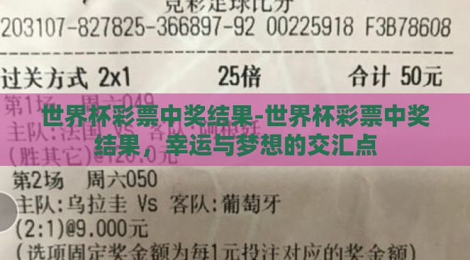 世界杯彩票中奖结果-世界杯彩票中奖结果，幸运与梦想的交汇点