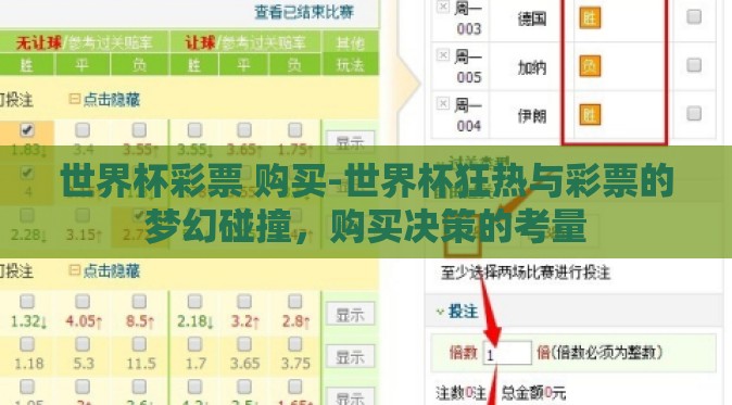 世界杯彩票 购买-世界杯狂热与彩票的梦幻碰撞，购买决策的考量