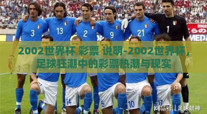 2002世界杯 彩票 说明-2002世界杯，足球狂潮中的彩票热潮与现实