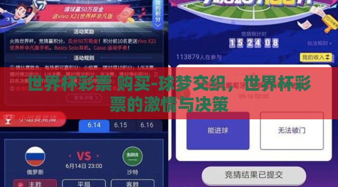 世界杯彩票 购买-球梦交织，世界杯彩票的激情与决策