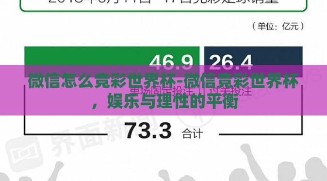 微信怎么竞彩世界杯-微信竞彩世界杯，娱乐与理性的平衡