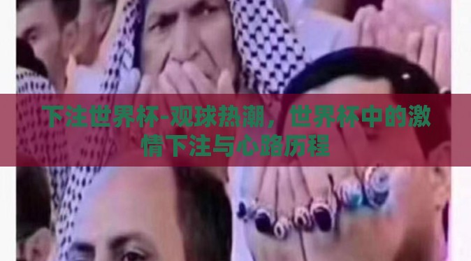 下注世界杯-观球热潮,世界杯中的激情下注与心路历程 下注世界杯-观球热潮,世界杯中的激情下注与心路历程