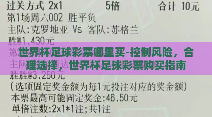 世界杯足球彩票哪里买-控制风险，合理选择，世界杯足球彩票购买指南