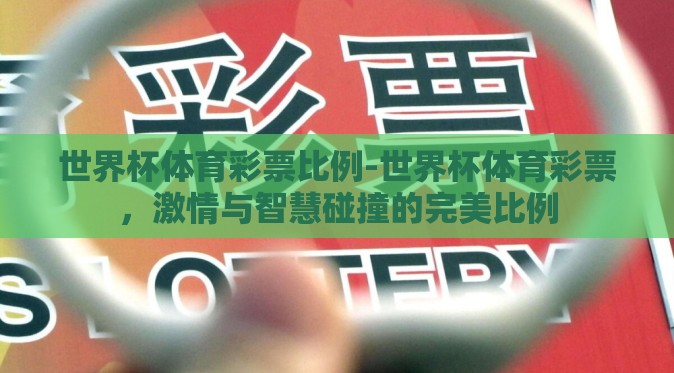 世界杯体育彩票比例-世界杯体育彩票，激情与智慧碰撞的完美比例