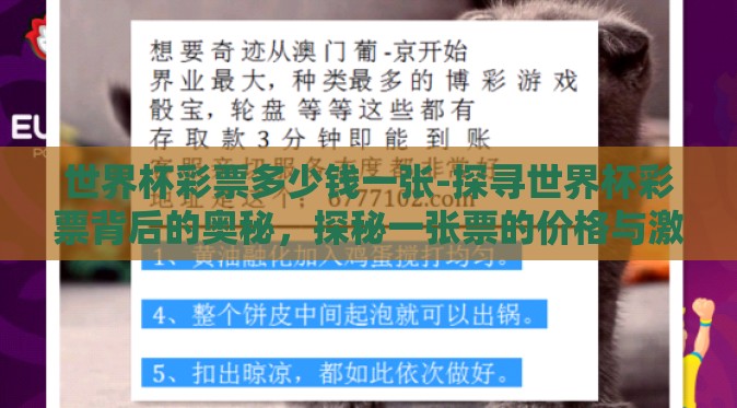 世界杯彩票多少钱一张-探寻世界杯彩票背后的奥秘，探秘一张票的价格与激情