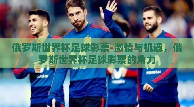 俄罗斯世界杯足球彩票-激情与机遇，俄罗斯世界杯足球彩票的角力
