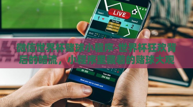 微信世界杯赌球小程序-世界杯狂欢背后的暗流，小程序里藏着的赌球大观