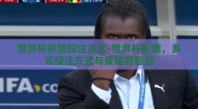 世界杯彩票投注方式-世界杯彩票,多元投注方式与策略的智慧 世界杯彩票投注方式-世界杯彩票,多元投注方式与策略的智慧