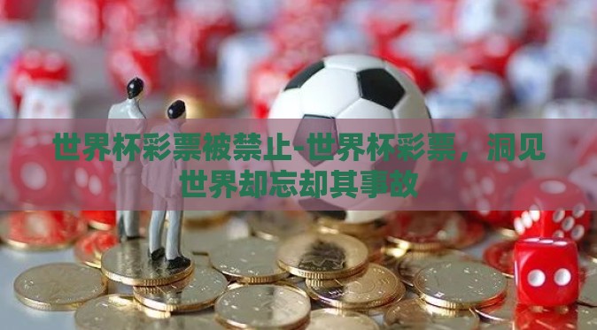 世界杯彩票被禁止-世界杯彩票，洞见世界却忘却其事故