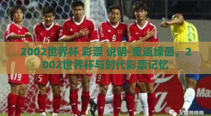 2002世界杯 彩票 说明-重返绿茵，2002世界杯与时代彩票记忆
