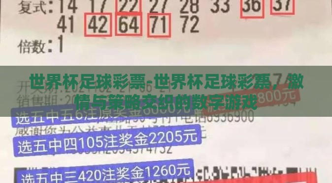 世界杯足球彩票-世界杯足球彩票，激情与策略交织的数字游戏