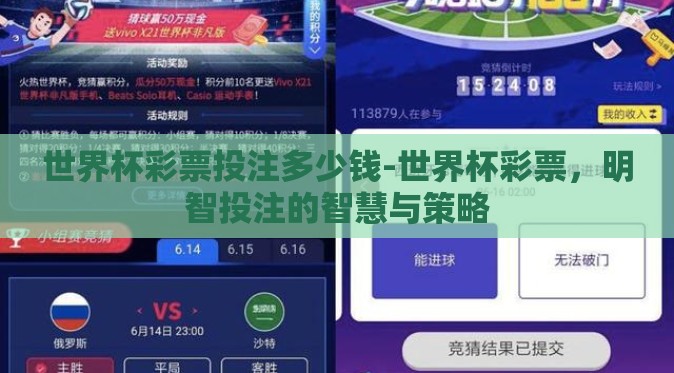 世界杯彩票投注多少钱-世界杯彩票,明智投注的智慧与策略 世界杯彩票投注多少钱-世界杯彩票,明智投注的智慧与策略