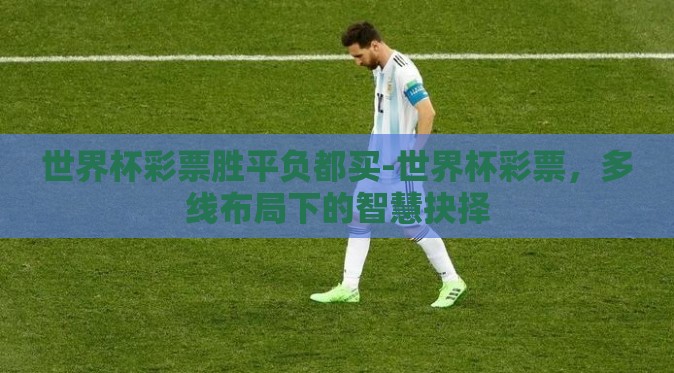 世界杯彩票胜平负都买-世界杯彩票，多线布局下的智慧抉择