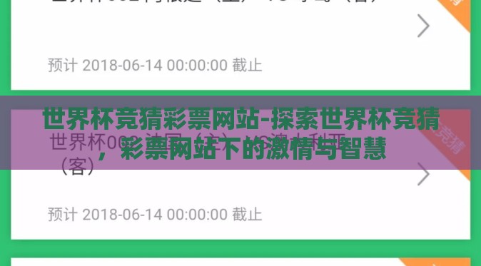 世界杯竞猜彩票网站-探索世界杯竞猜，彩票网站下的激情与智慧