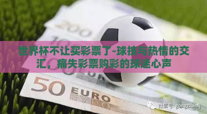 世界杯不让买彩票了-球技与热情的交汇,痛失彩票购彩的球迷心声 世界杯不让买彩票了-球技与热情的交汇,痛失彩票购彩的球迷心声
