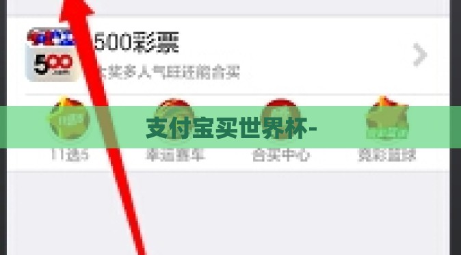 支付宝买世界杯-