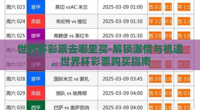 世界杯彩票去哪里买-解锁激情与机遇,世界杯彩票购买指南 世界杯彩票去哪里买-解锁激情与机遇,世界杯彩票购买指南