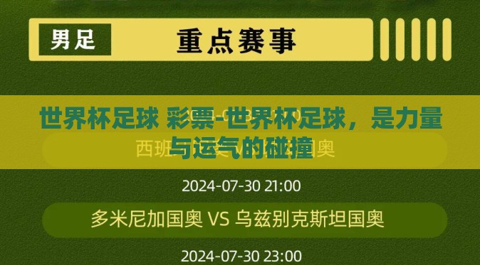 世界杯足球 彩票-世界杯足球，是力量与运气的碰撞