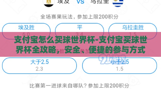 支付宝怎么买球世界杯-支付宝买球世界杯全攻略，安全、便捷的参与方式