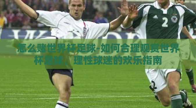 怎么赌世界杯足球-如何合理观赏世界杯足球，理性球迷的欢乐指南