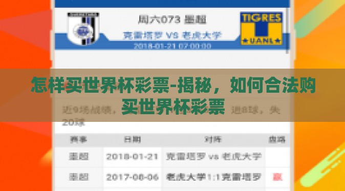 怎样买世界杯彩票-揭秘，如何合法购买世界杯彩票