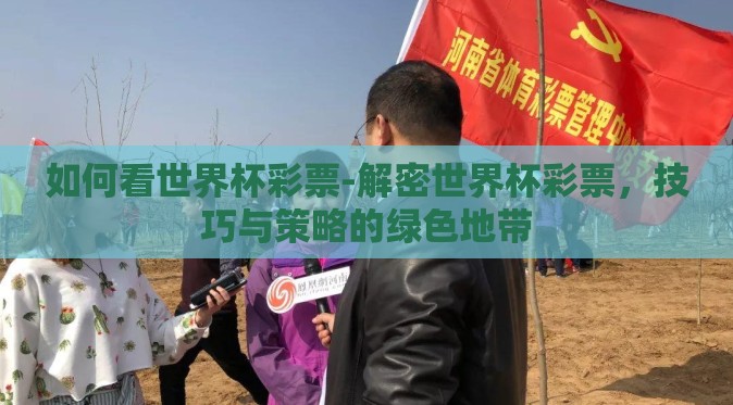 如何看世界杯彩票-解密世界杯彩票，技巧与策略的绿色地带