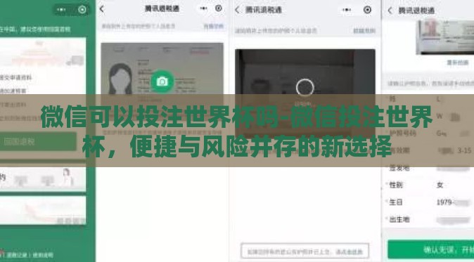 微信可以投注世界杯吗-微信投注世界杯,便捷与风险并存的新选择 微信可以投注世界杯吗-微信投注世界杯,便捷与风险并存的新选择