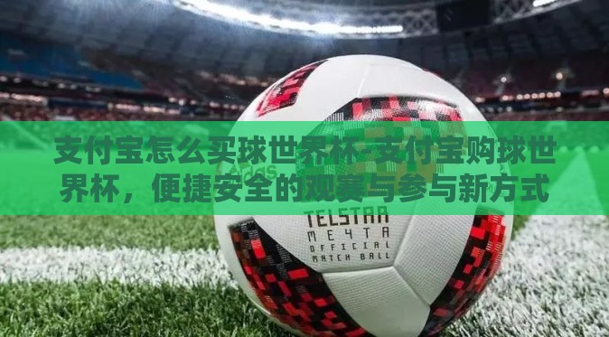 支付宝怎么买球世界杯-支付宝购球世界杯，便捷安全的观赛与参与新方式