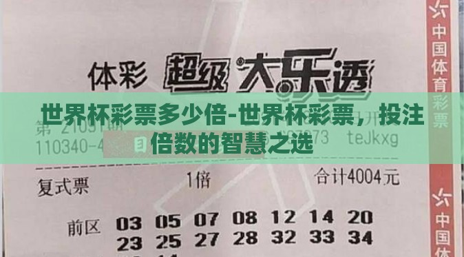 世界杯彩票多少倍-世界杯彩票，投注倍数的智慧之选