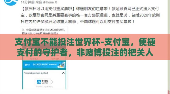 支付宝不能投注世界杯-支付宝，便捷支付的守护者，非赌博投注的把关人