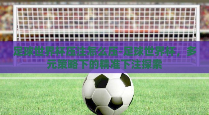 足球世界杯压注怎么压-足球世界杯，多元策略下的精准下注探索