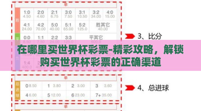 在哪里买世界杯彩票-精彩攻略，解锁购买世界杯彩票的正确渠道