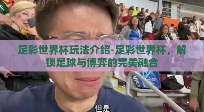 足彩世界杯玩法介绍-足彩世界杯，解锁足球与博弈的完美融合