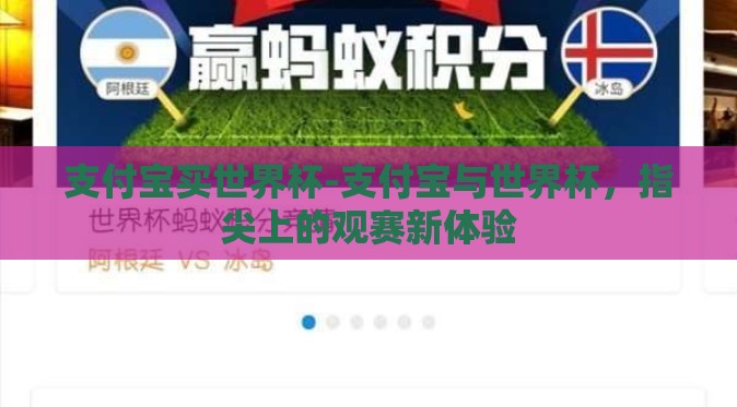 支付宝买世界杯-支付宝与世界杯，指尖上的观赛新体验