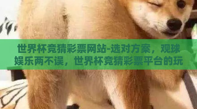 世界杯竞猜彩票网站-选对方案，观球娱乐两不误，世界杯竞猜彩票平台的玩法与注意事项