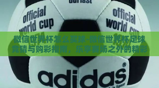 微信世界杯怎么买球-微信世界杯足球竞猜与购彩指南，乐享赛场之外的精彩