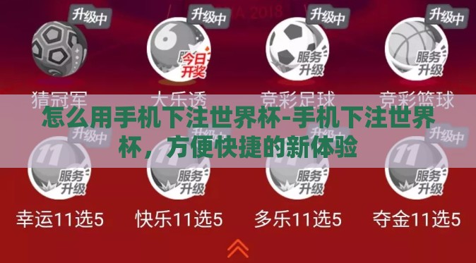 怎么用手机下注世界杯-手机下注世界杯，方便快捷的新体验