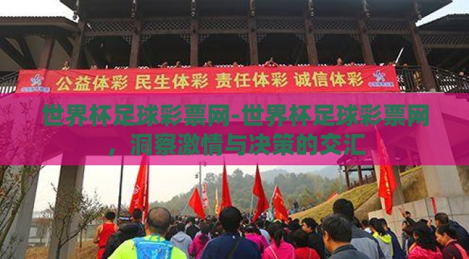 世界杯足球彩票网-世界杯足球彩票网，洞察激情与决策的交汇