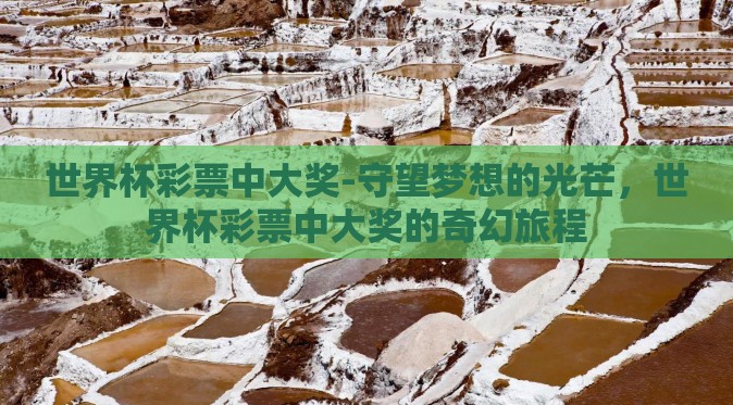 世界杯彩票中大奖-守望梦想的光芒，世界杯彩票中大奖的奇幻旅程