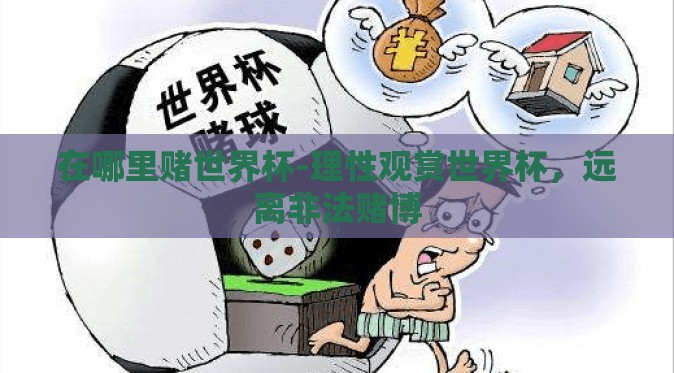 在哪里赌世界杯-理性观赏世界杯，远离非法赌博