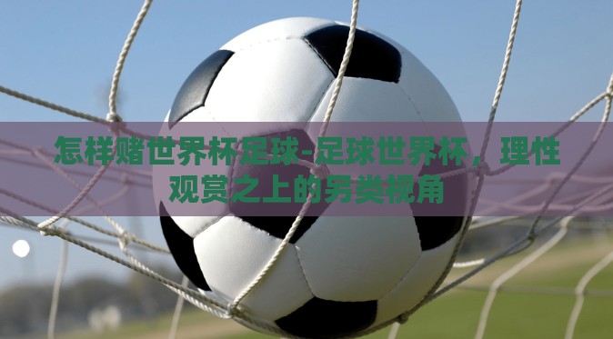怎样赌世界杯足球-足球世界杯，理性观赏之上的另类视角