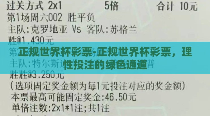 正规世界杯彩票-正规世界杯彩票，理性投注的绿色通道