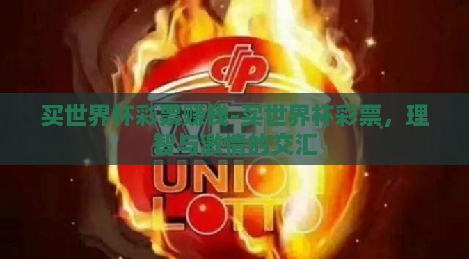 买世界杯彩票赚钱-买世界杯彩票，理智与激情的交汇