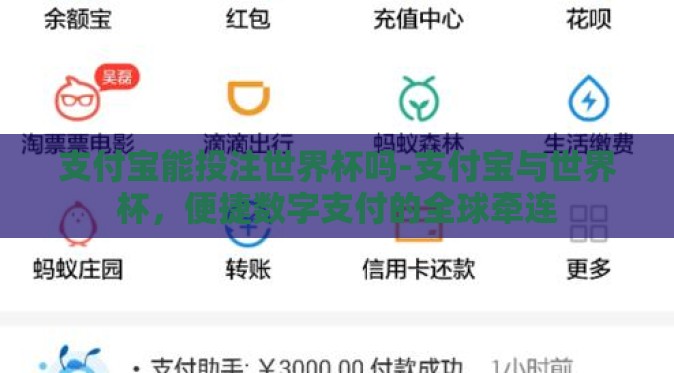 支付宝能投注世界杯吗-支付宝与世界杯，便捷数字支付的全球牵连