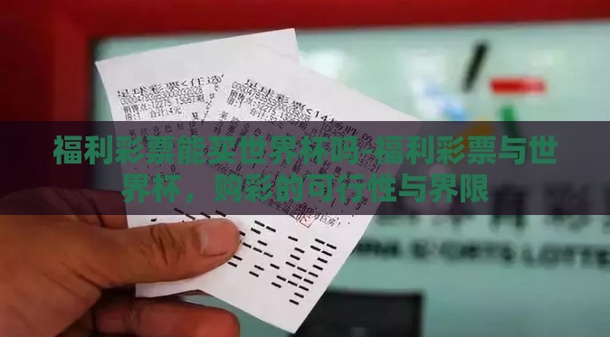 福利彩票能买世界杯吗-福利彩票与世界杯，购彩的可行性与界限